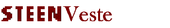 Steenveste logo